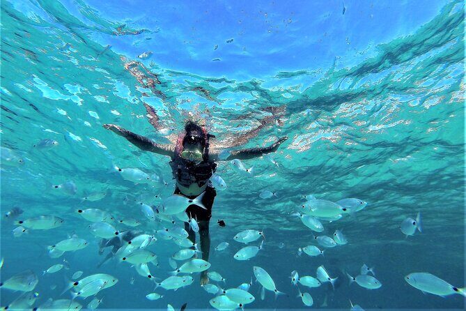 Sea Caves & Coves Snorkeling Paddle Boarding Tour - Stop 1: Cala Comte Anchor Time and Underwater Time for Real