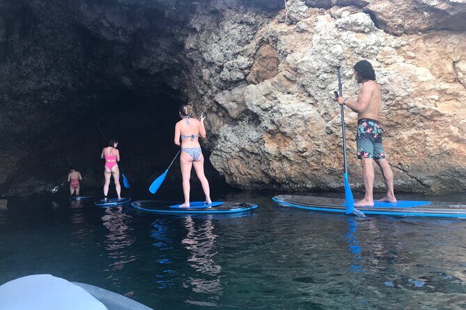Snorkeling-out : Transparent Kayak or SUP Tour - Price and value: is $52.09 worth it?