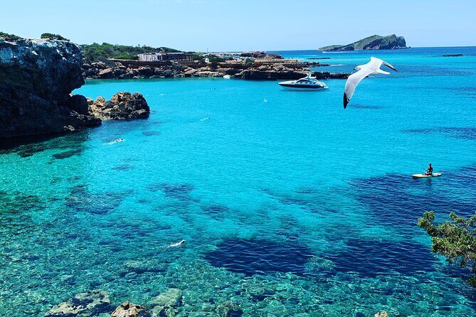 SUP Adventure Ibiza (stand up paddle & snorkeling) VIP TOUR - Stop-by-Stop Feel: Cala Gracio to Port d’es Torrent