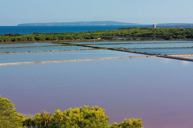 TOUR around the JEWELS of IBIZA SALT BEDS, ES VEDRA, TIME & SPACE - Stop 1: Ses Salines Natural Park Salt Ponds (Plus Beach Views and Flamingo Odds)
